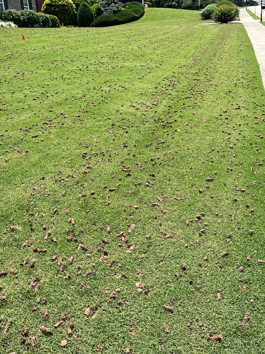 Aeration in Monroe, GA